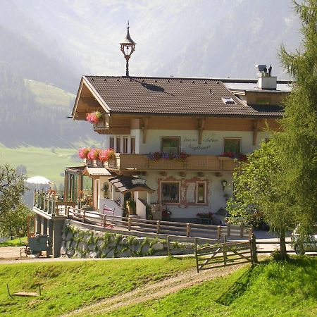 Beim Naglbauer Villa Piesendorf Exteriör bild